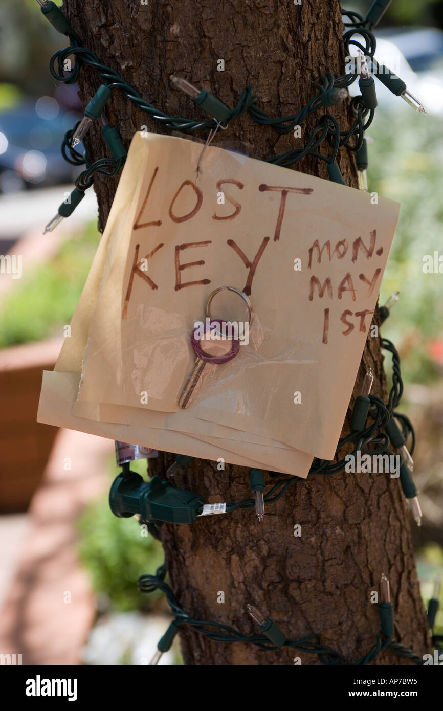 Lost house key on tree Stock Photo Alamy