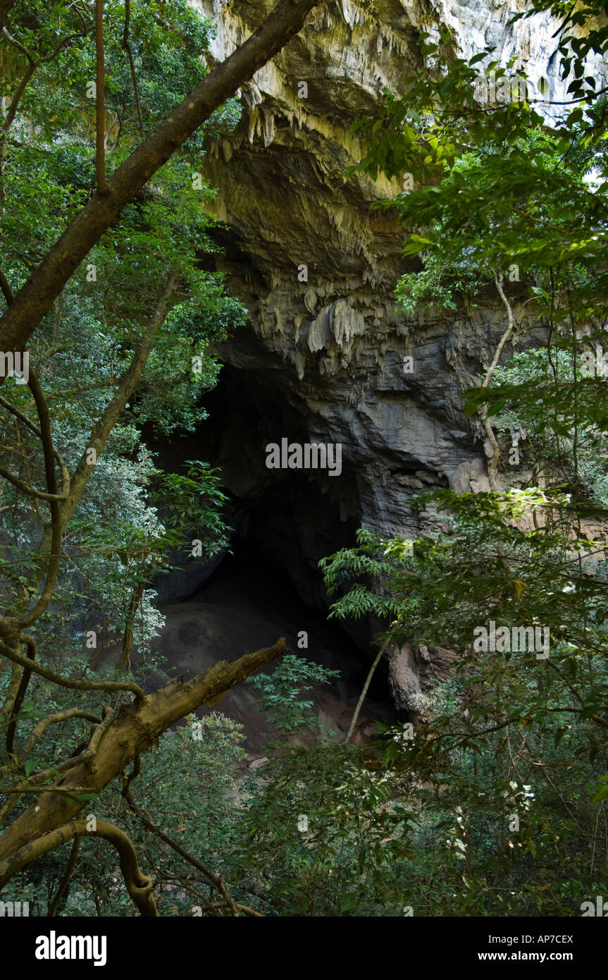 Bat cave, Ankarana Special Reserve, Madagascar Stock Photo - Alamy