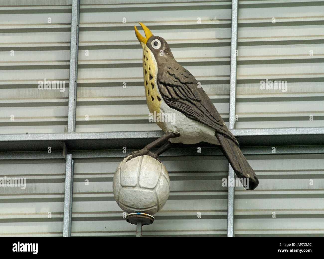 Football Club West Bromwich Albion Emblem the throstle an alternative  name for the song thrush Stock Photo - Alamy