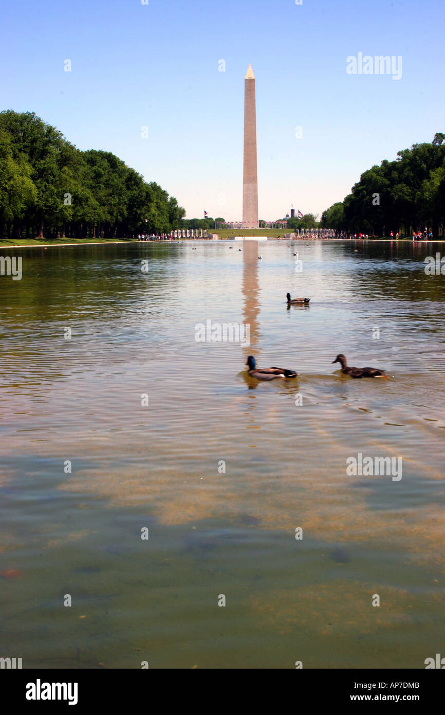 washington monument and reflecting pool Stock Photo