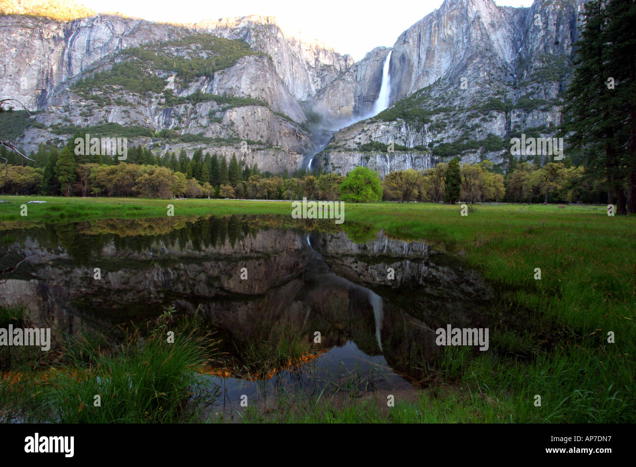 yosemite falls reflection, yosemite national park Stock Photo