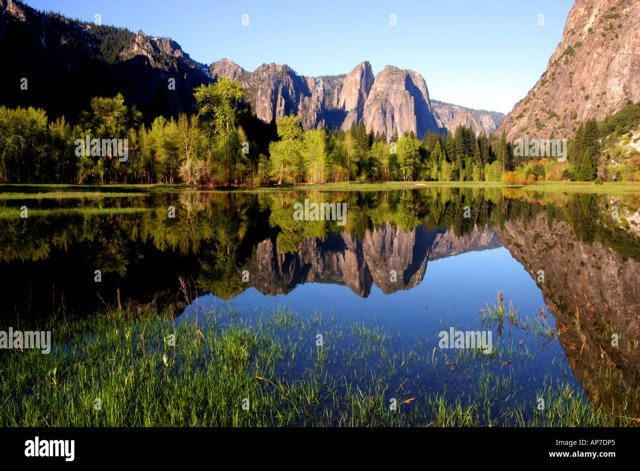 leidig meadow reflection, yosemite national park Stock Photo