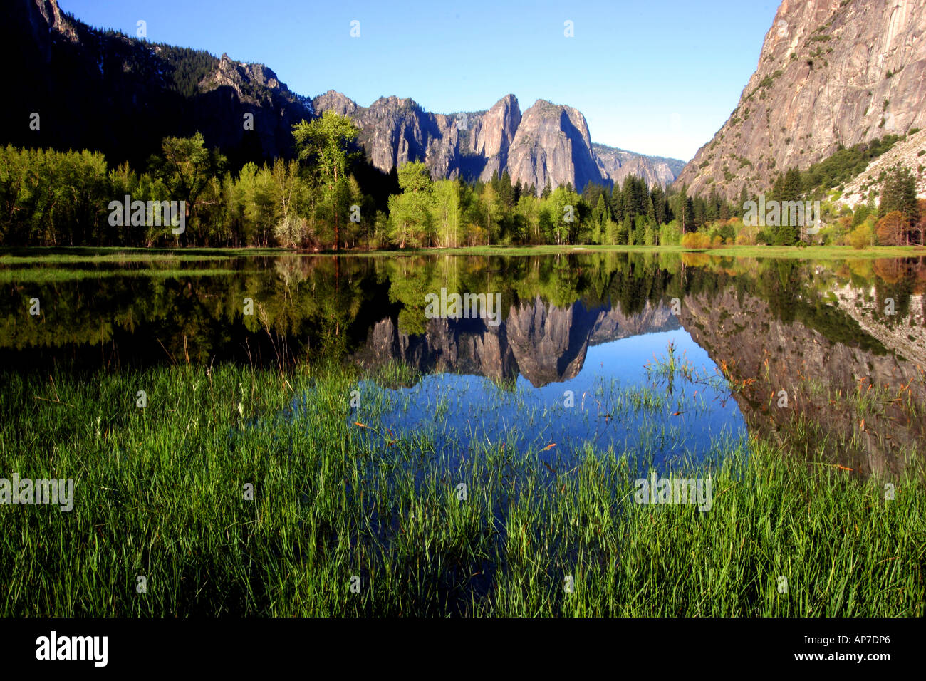 leidig meadow reflection, yosemite national park Stock Photo