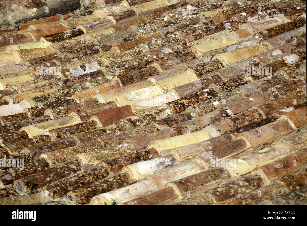 Coloured Roof Tiles, Portugal Stock Photo Alamy