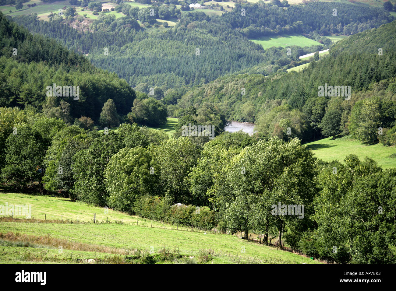 Dee Valley, Llangollen, North Wales, UK Stock Photo