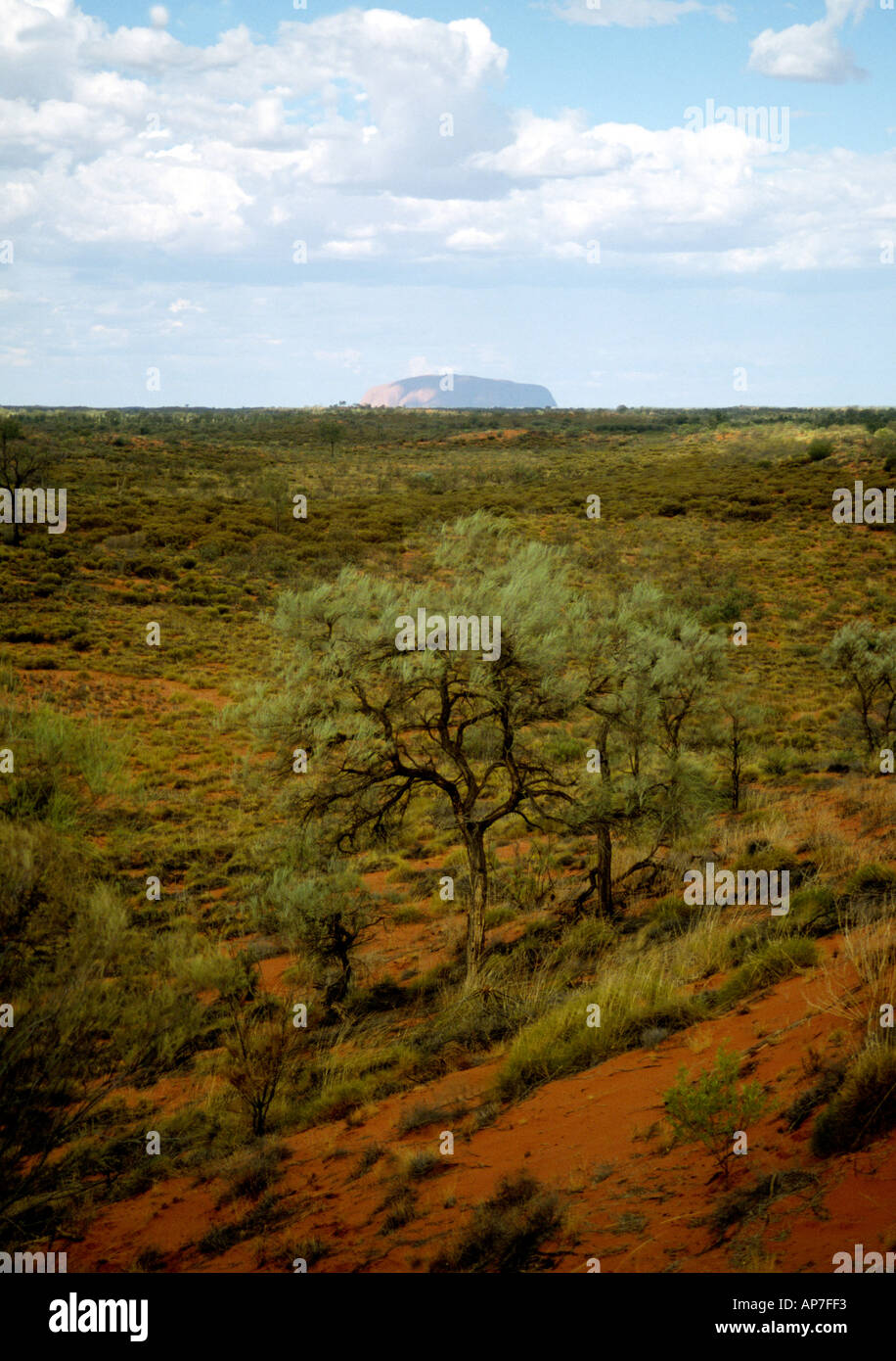 Uluru Ayers Rock in the distance Stock Photo Alamy