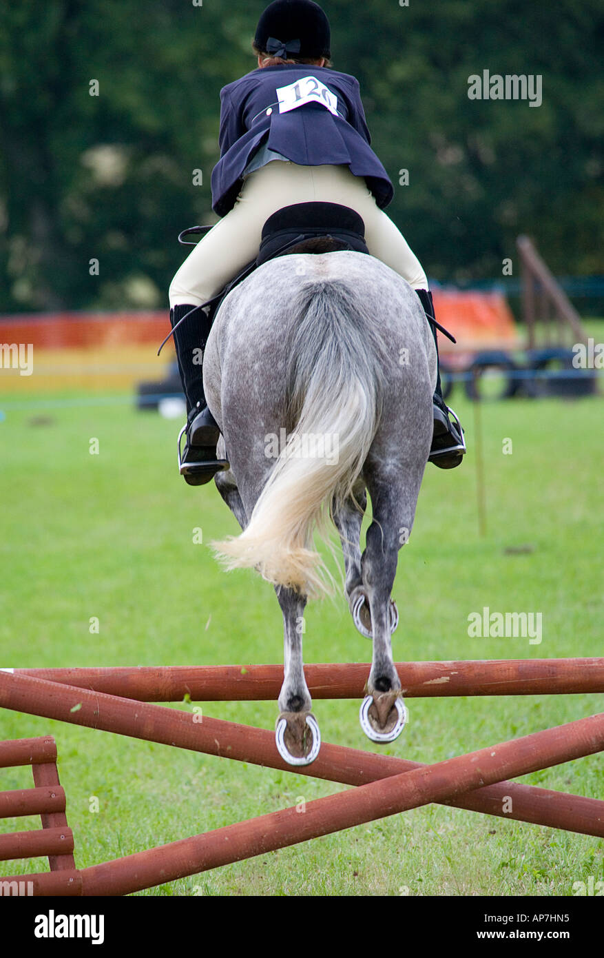 YOUNG GIRL ON HORSE FROM THE REAR IN MID AIR JUMPING FENCE AT A HORSE