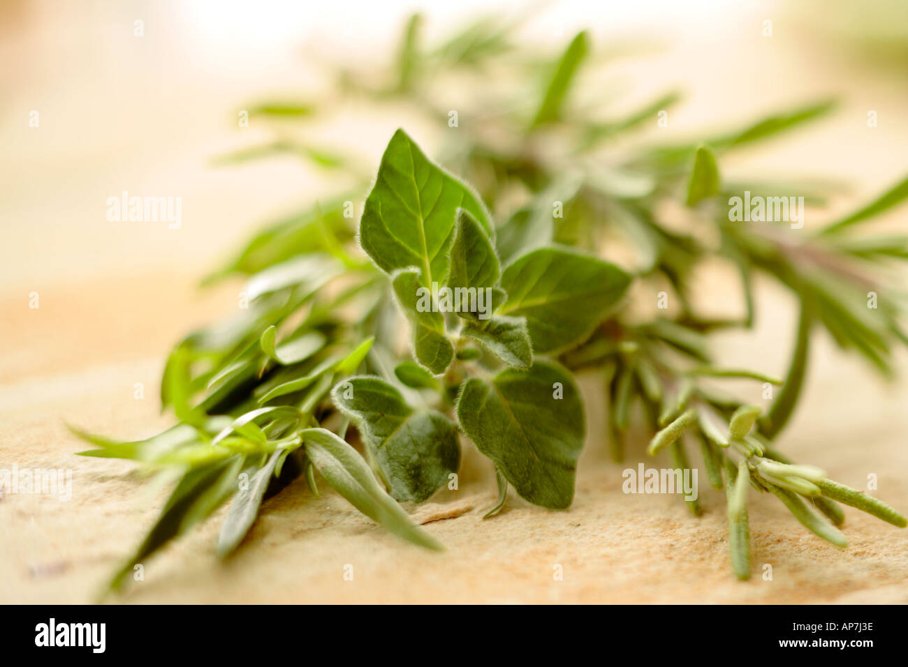 fresh herbs rosemary tarragon and oregano Stock Photo Alamy