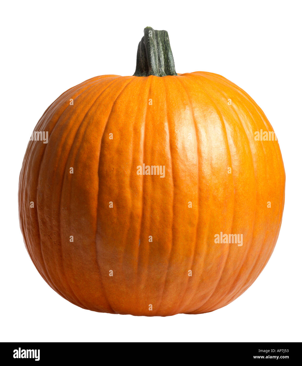 Pumpkin on white background Stock Photo
