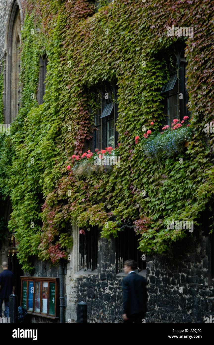 dean-s-yard-behind-westminster-abbey-london-uk-stock-photo-alamy