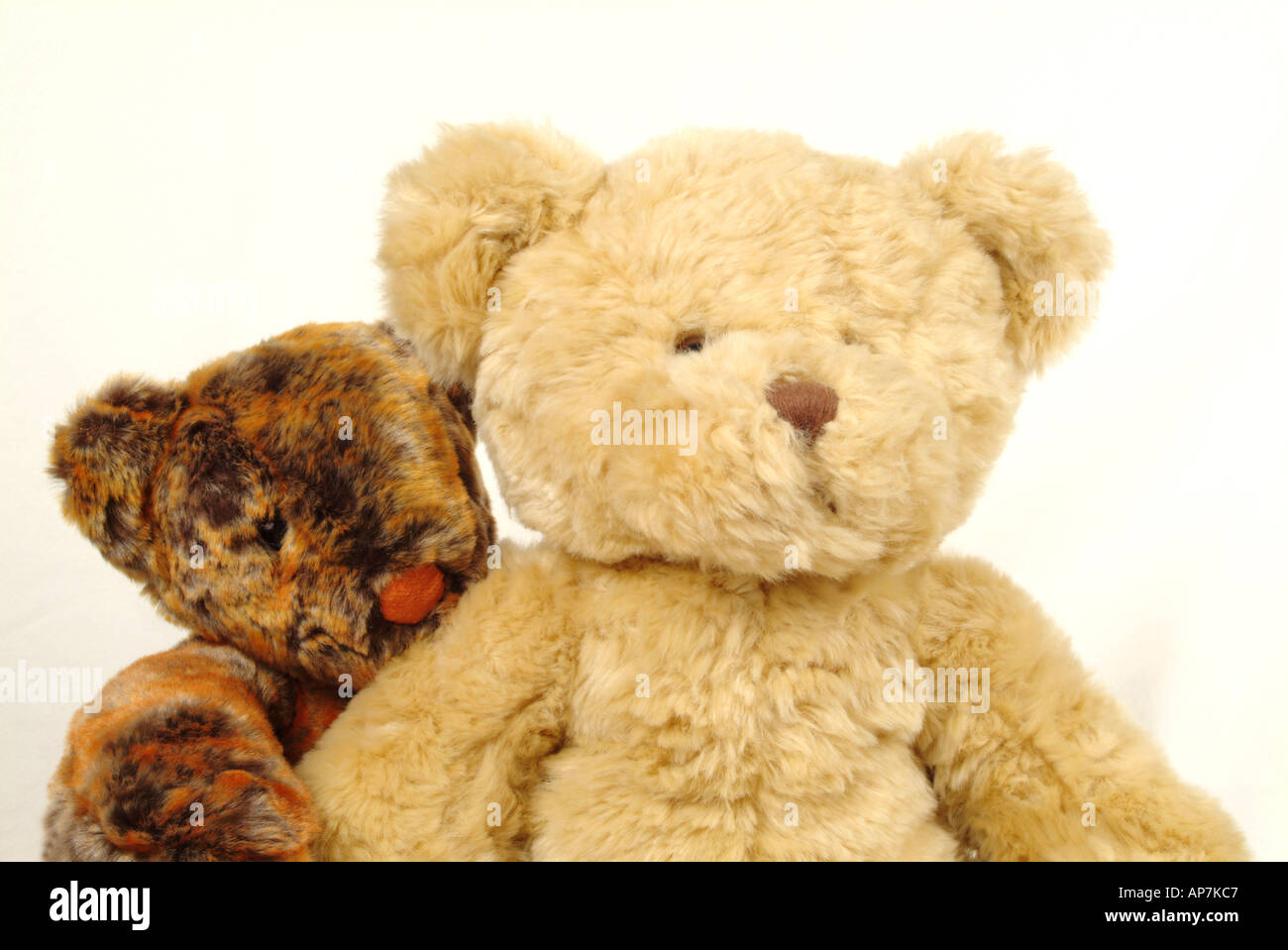 Stuffed teddy bears on a white background Stock Photo - Alamy