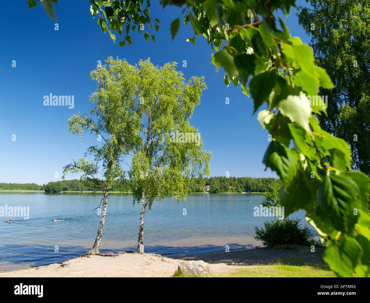 swimming lake Stock Photo