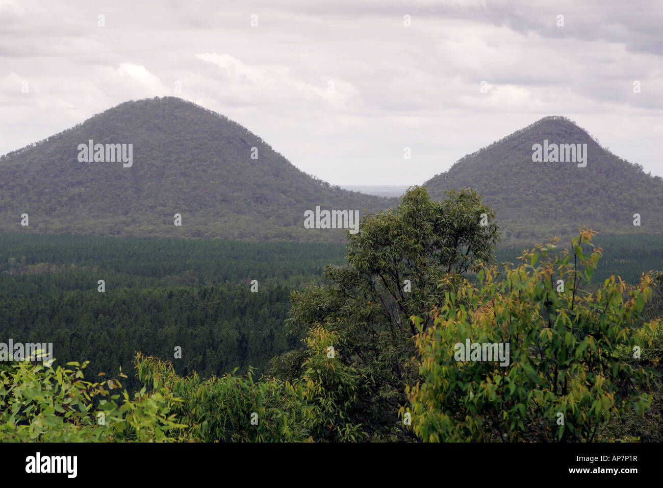Glass Mountain, Balmoral lookout, Sunshine Coast, Queensland, Australia