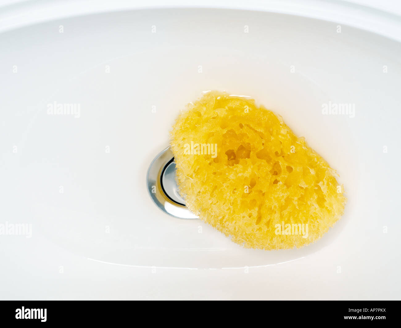 Sponge in a sink Stock Photo Alamy