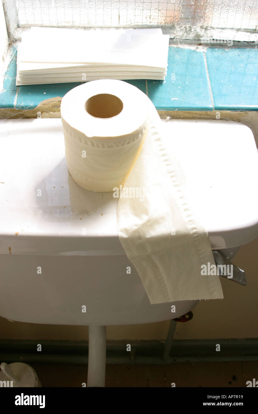 Toilet roll in factory toilet Stock Photo Alamy