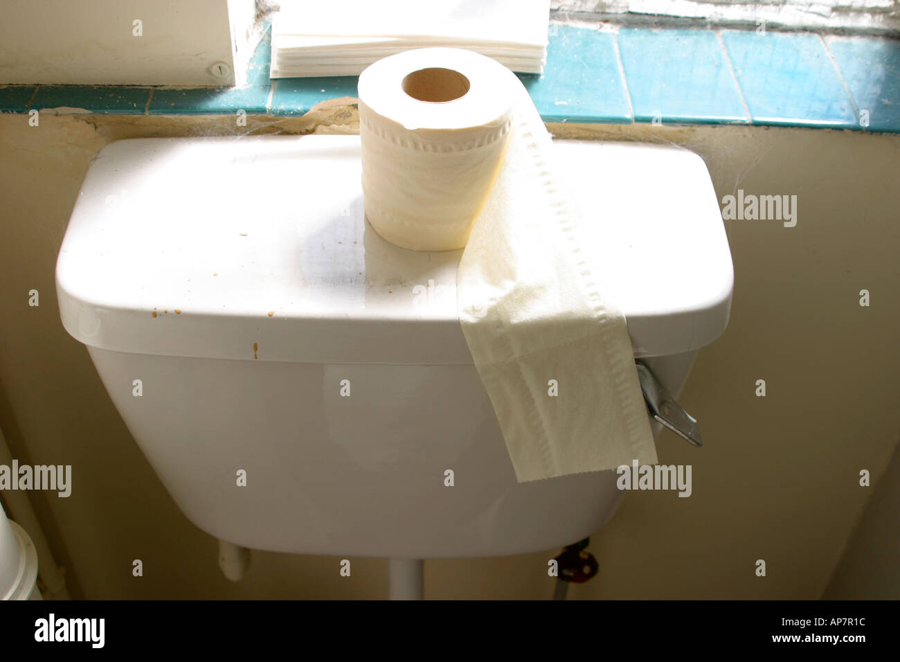 Toilet roll in factory toilet Stock Photo Alamy