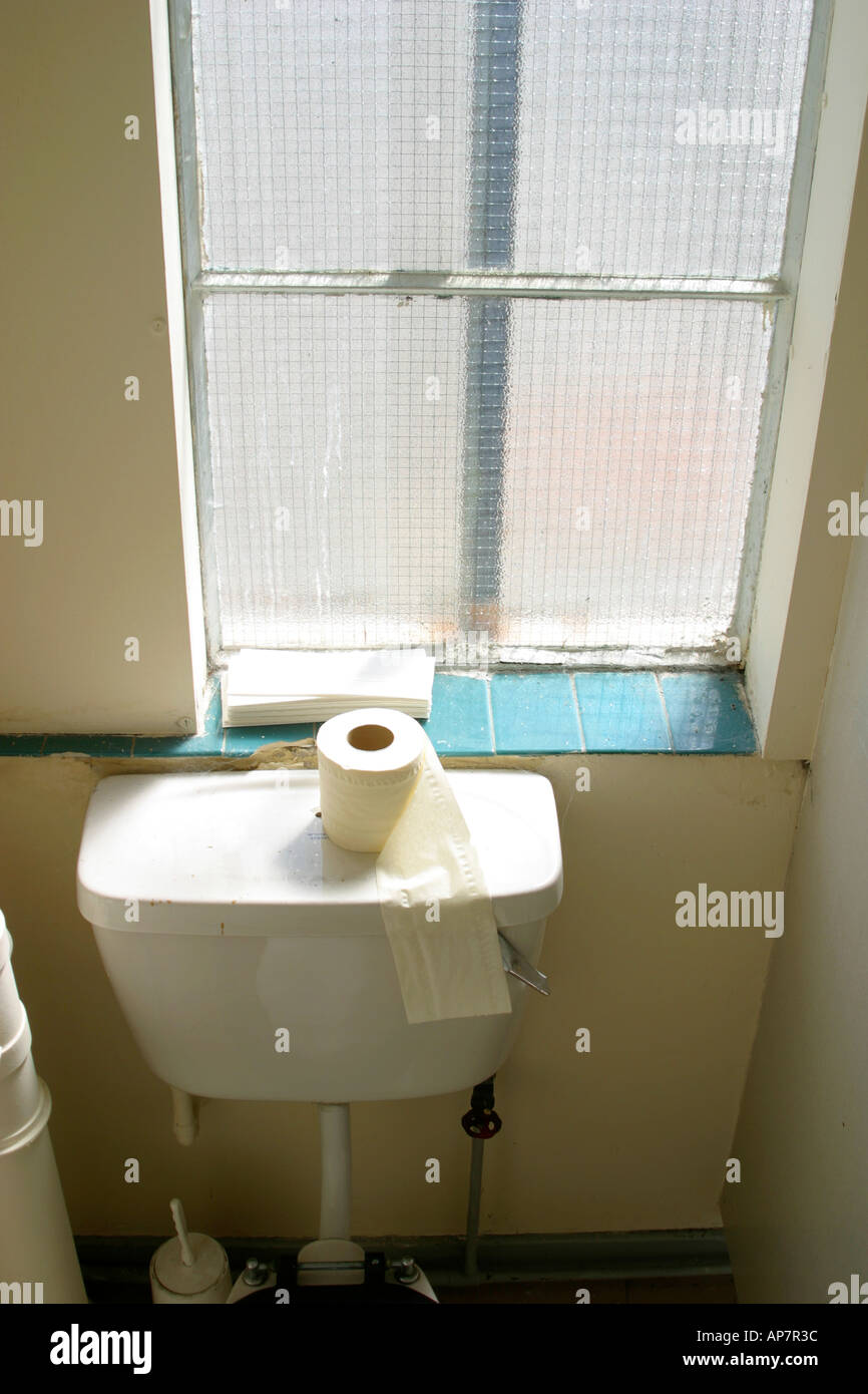 Toilet roll in factory toilet Stock Photo Alamy