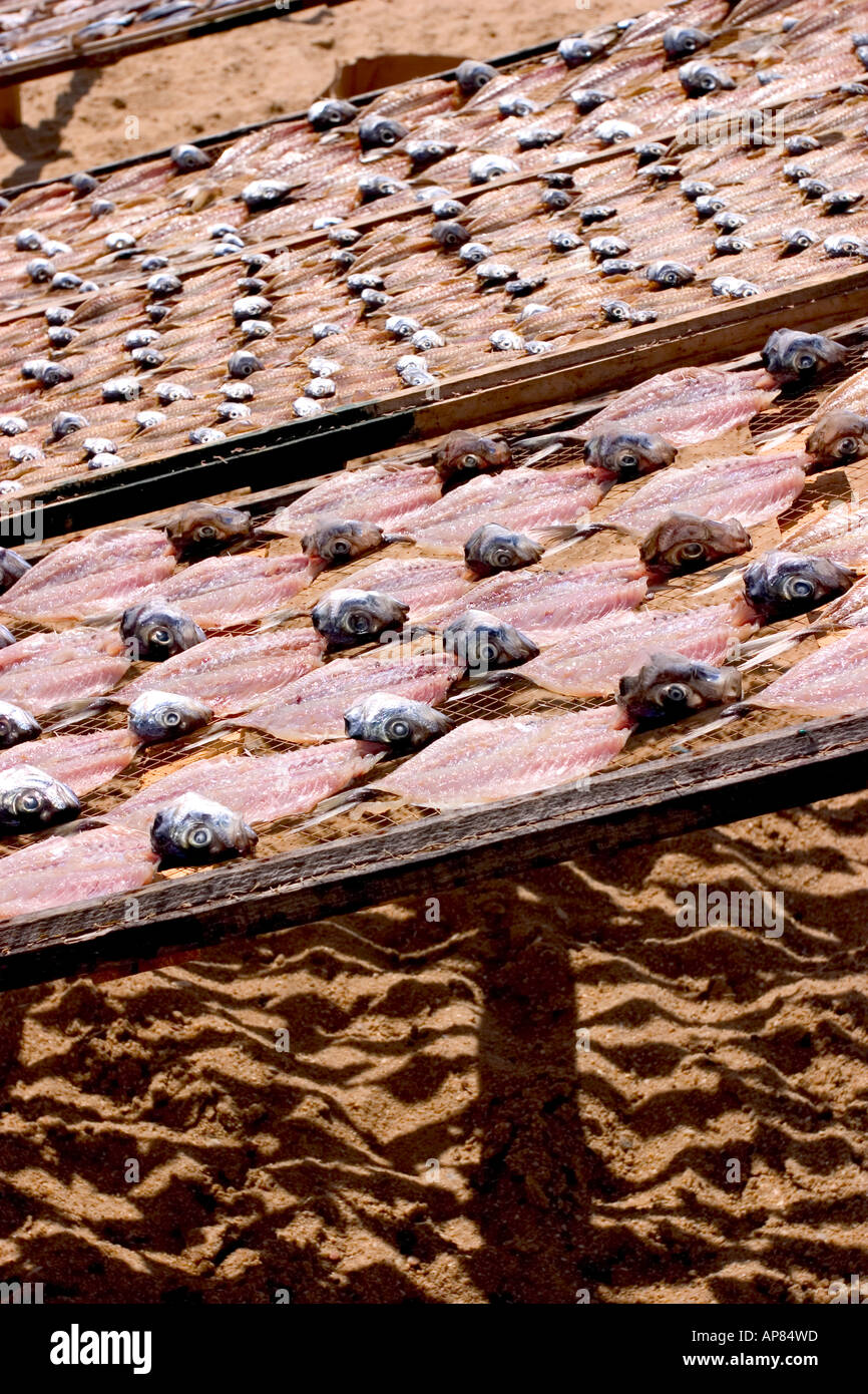 Fish drying at Nazare beach Portugal Stock Photo