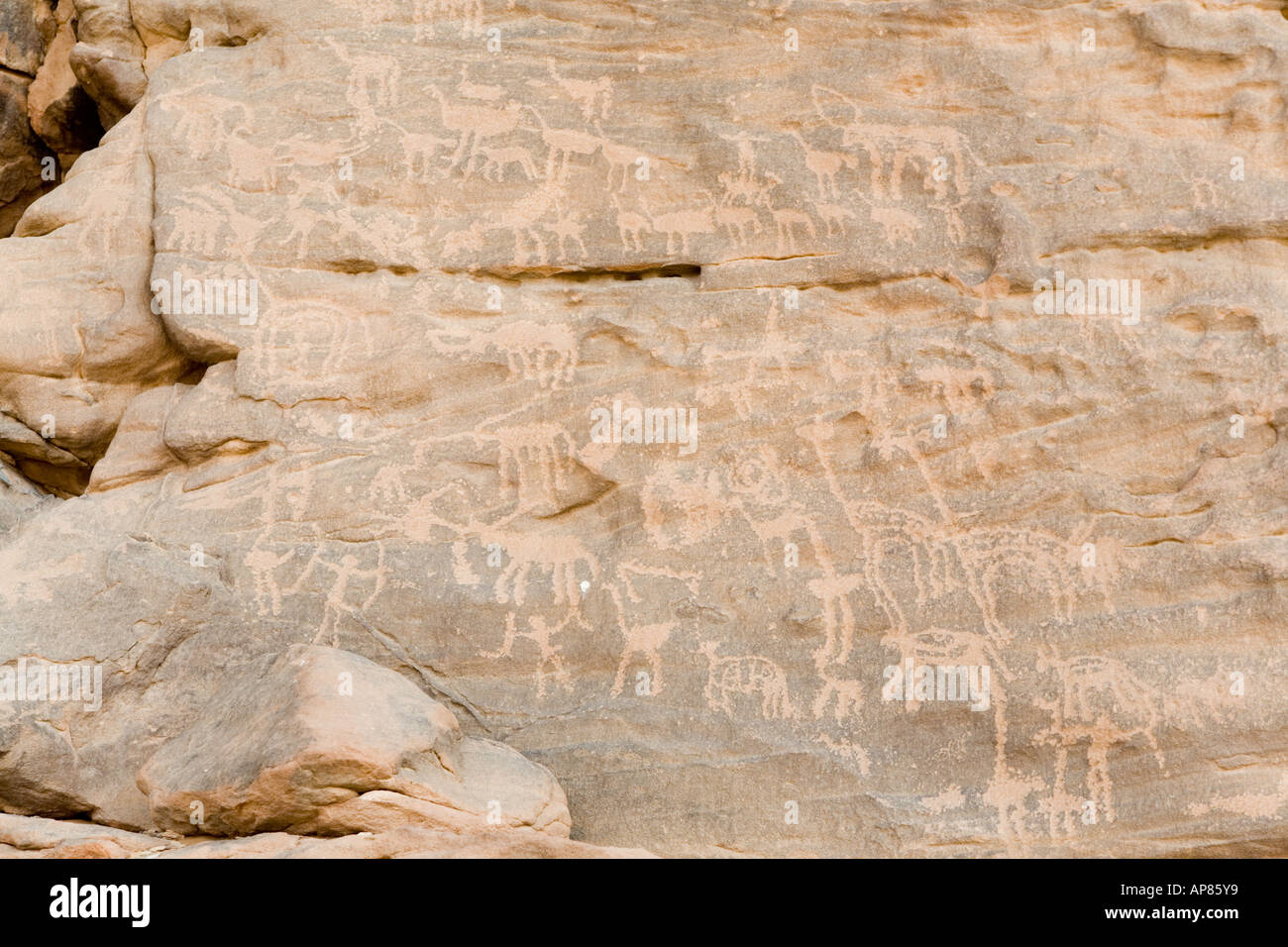 Various animals and figures cut into large rock, Karkhur Talh, Uweinat, Egypt Stock Photo