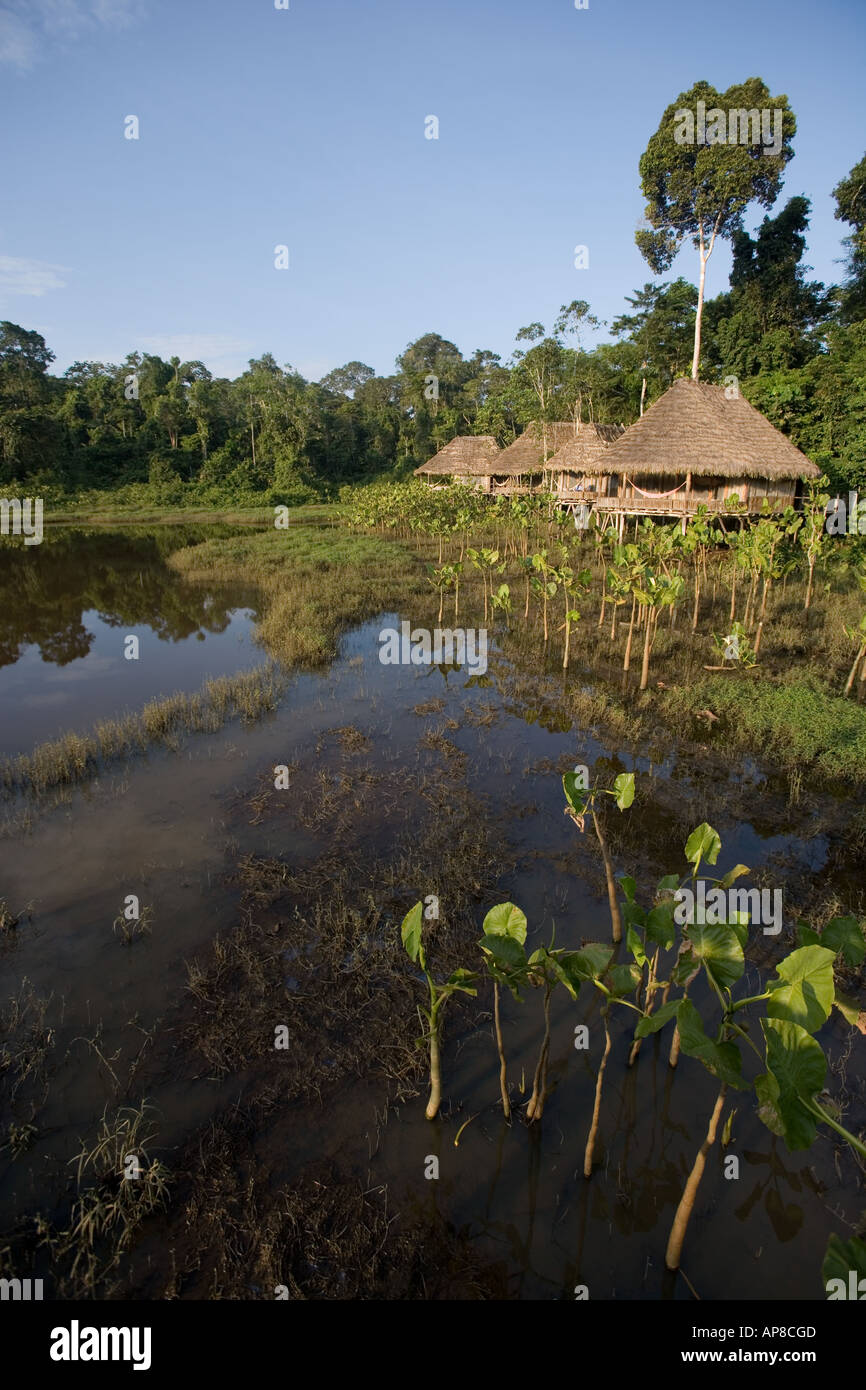 Cabins at the Kapawi Ecolodge off the Pastasa river Ecuador South America Stock Photo