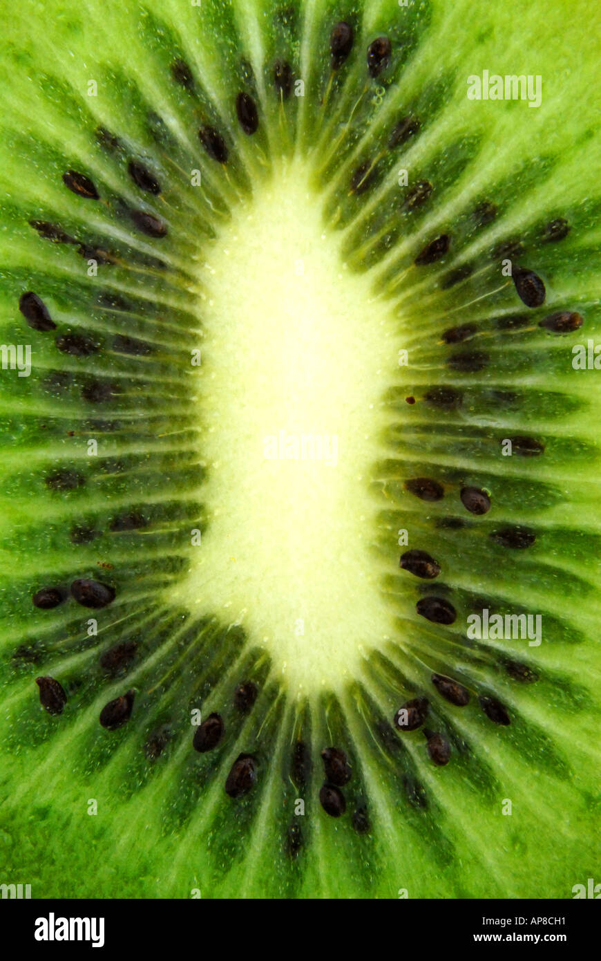 Kiwi farms hi-res stock photography and images - Alamy