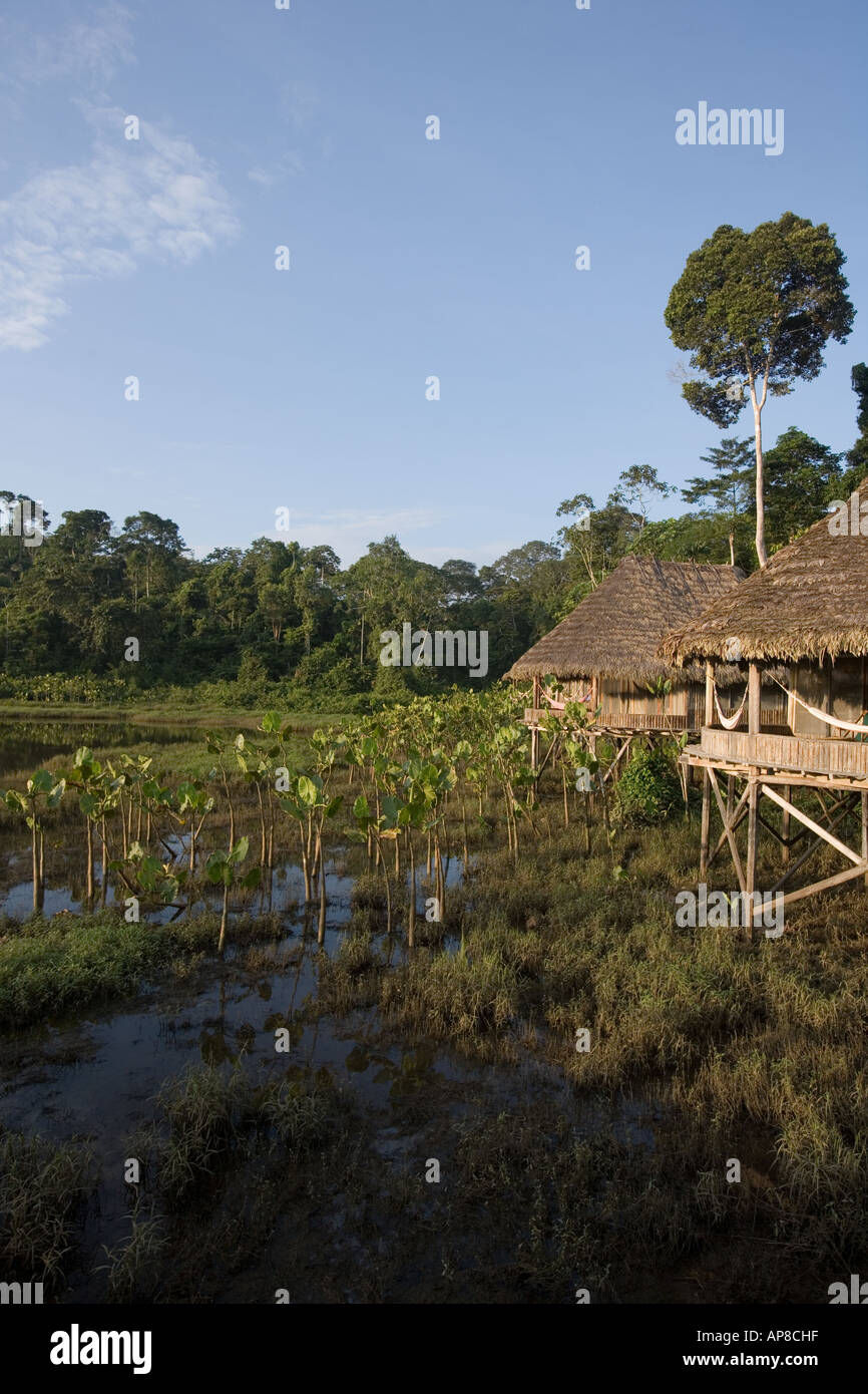 Cabins at the Kapawi Ecolodge off the Pastasa river Ecuador South America Stock Photo