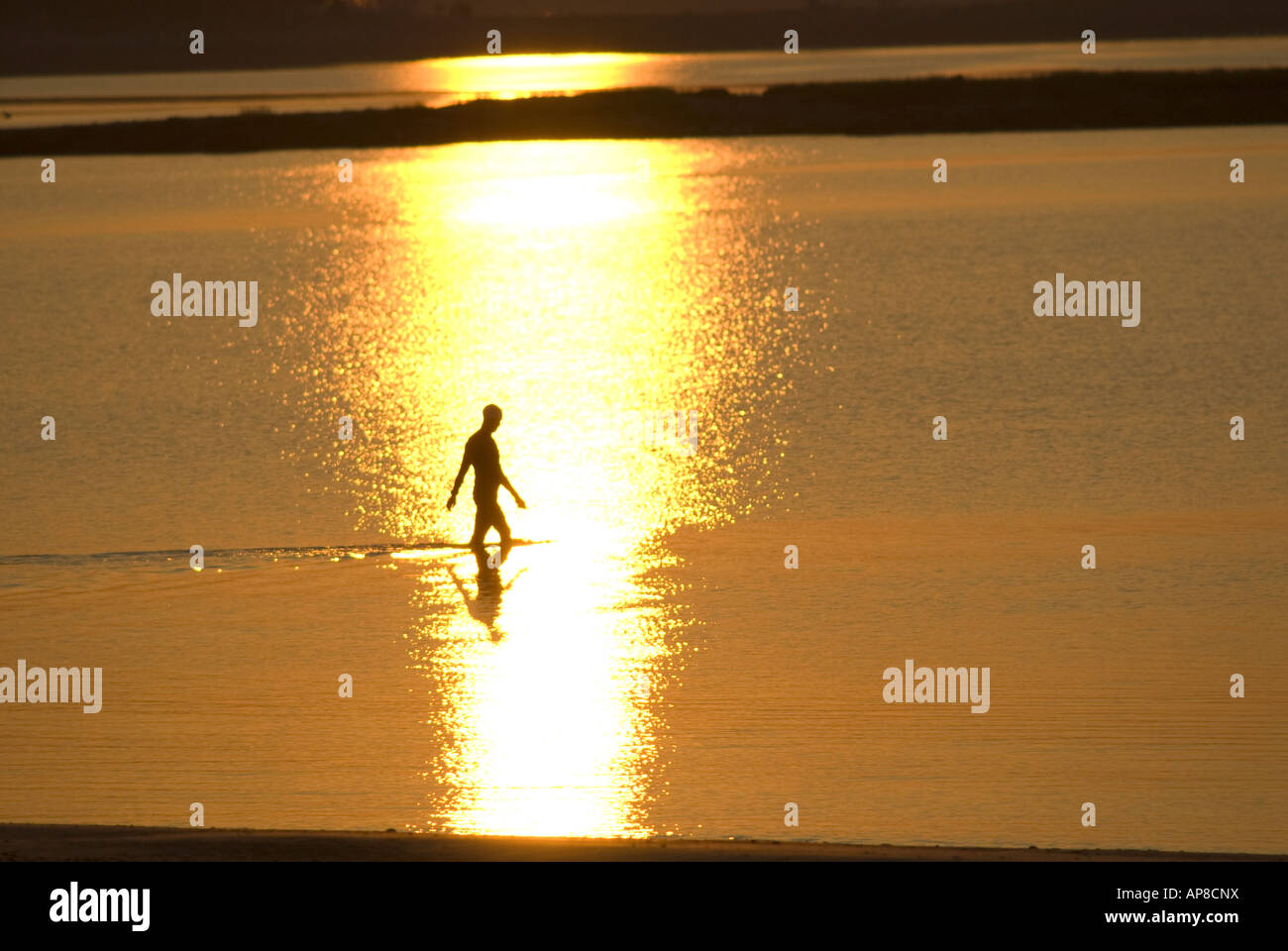 Silhouette of lone fisherman standing in water at sunrise, Compo Beach, Westport, Ct. USA. Stock Photo
