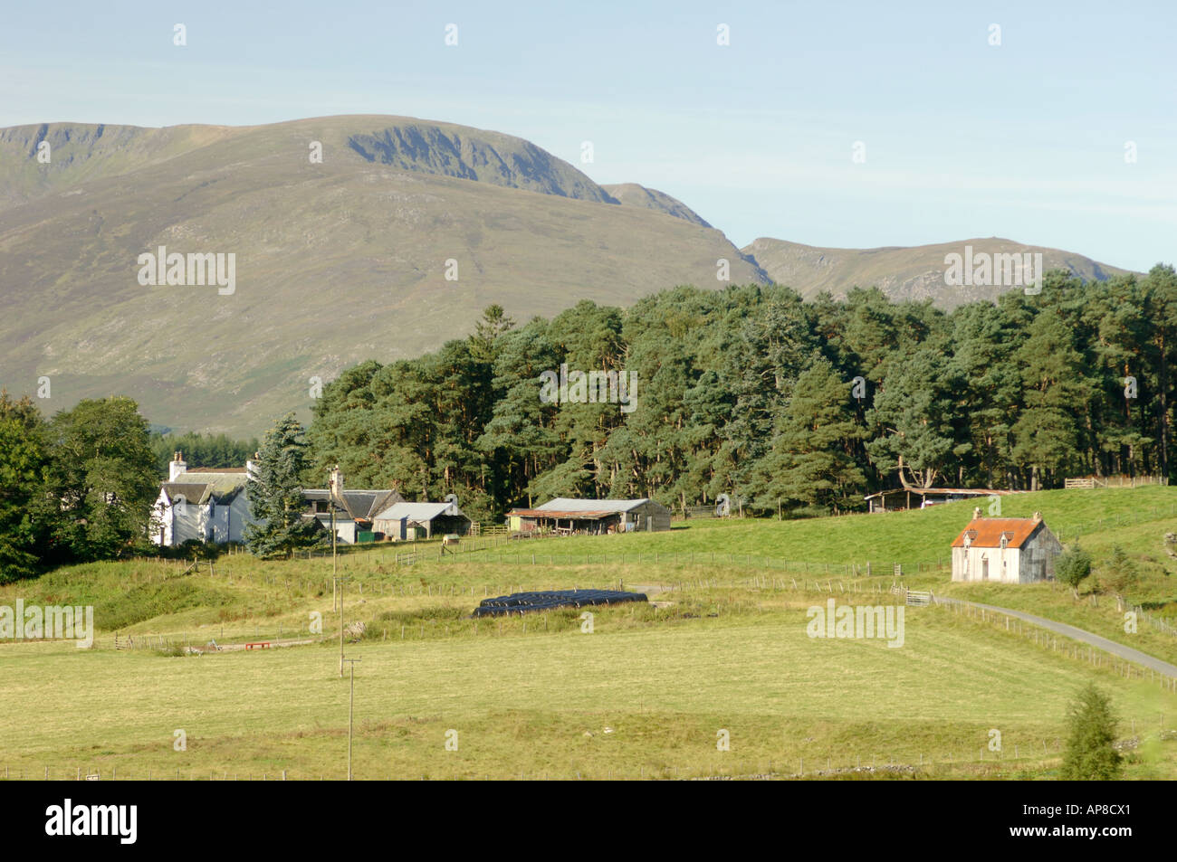 Hill farming is extensive farming in upland areas hires stock