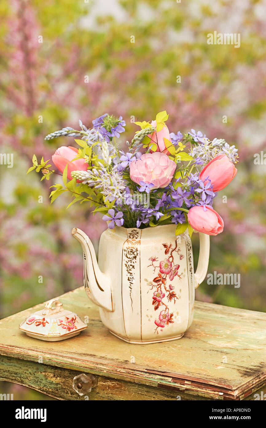 Flowers in an antique teapot on weathered table with Redbud blooming in the  background. Caption space at the top Stock Photo - Alamy