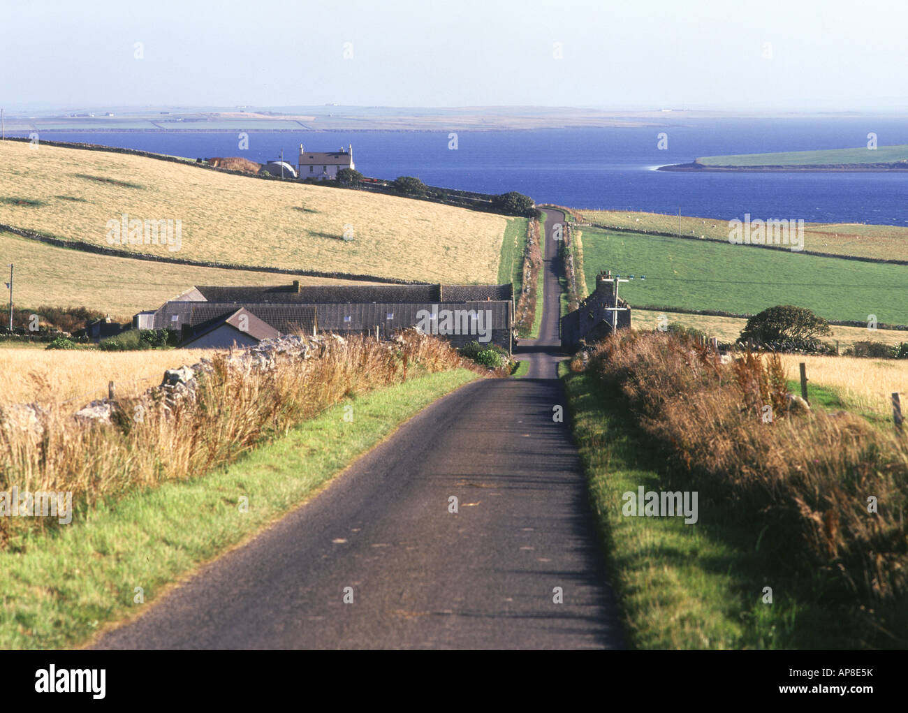 dh  RENDALL ORKNEY Country road fields and island of Wyre rural farming Stock Photo