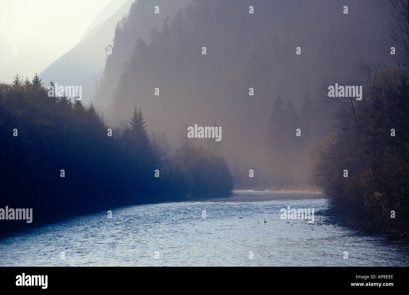 River flowing through forest hi-res stock photography and images - Alamy
