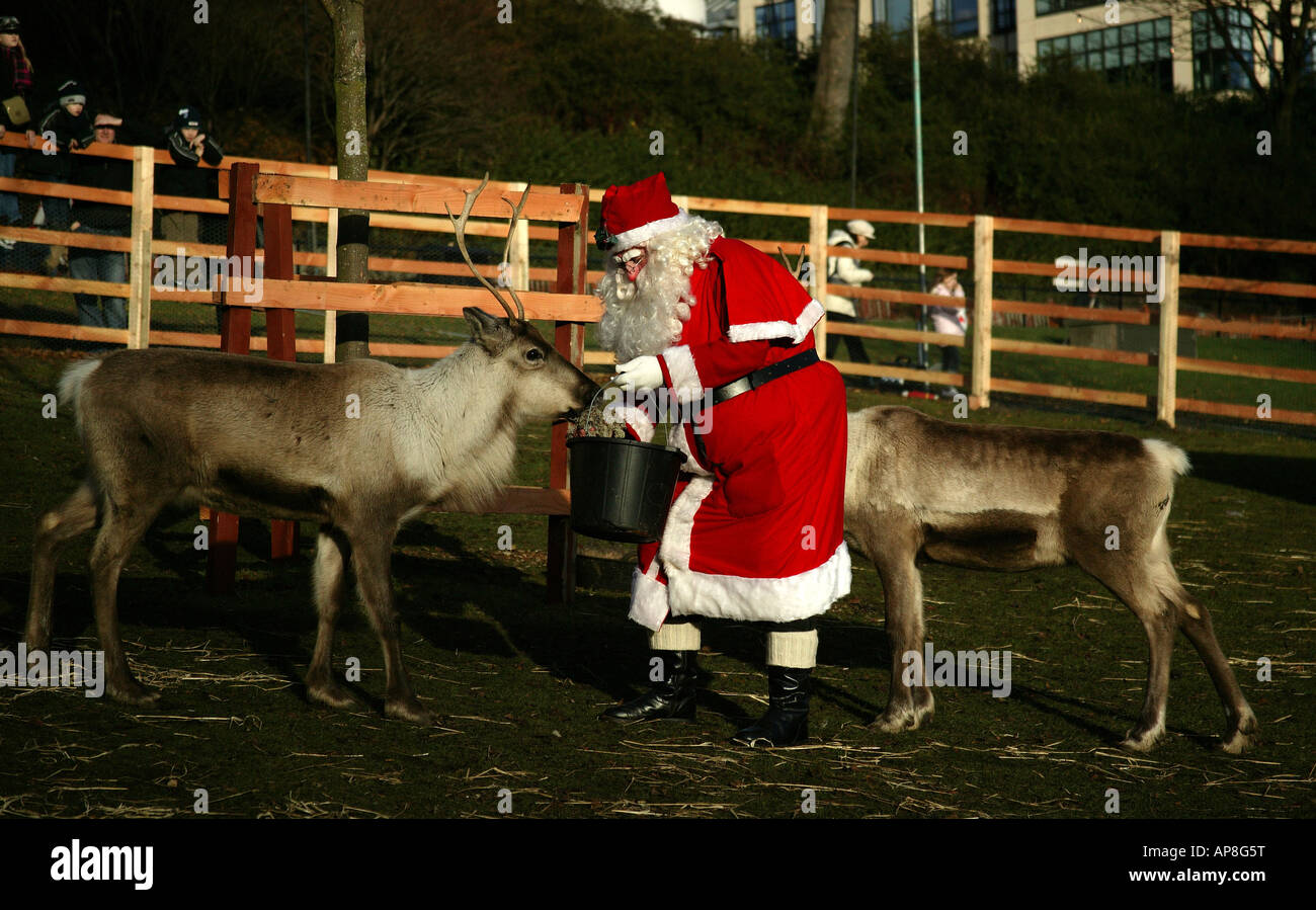 Santa Claus feeding lichen to reindeer, Princes Street Gardens, Edinburgh, Scotland UK Stock Photo