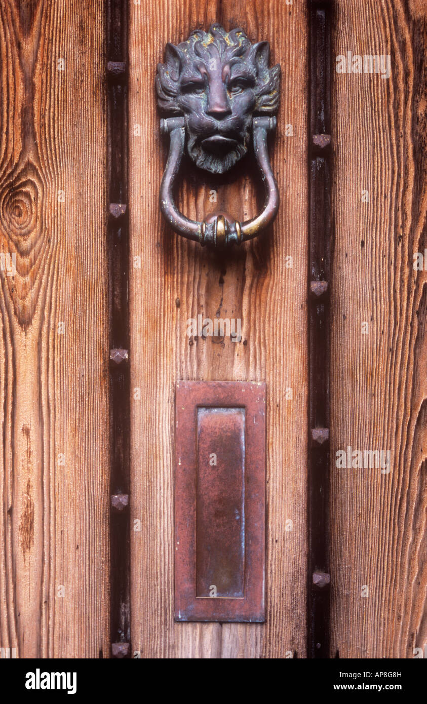 Stylish woodstained front door with black metal binding strips and studs vertical bronze letterbox and lion head knocker Stock Photo