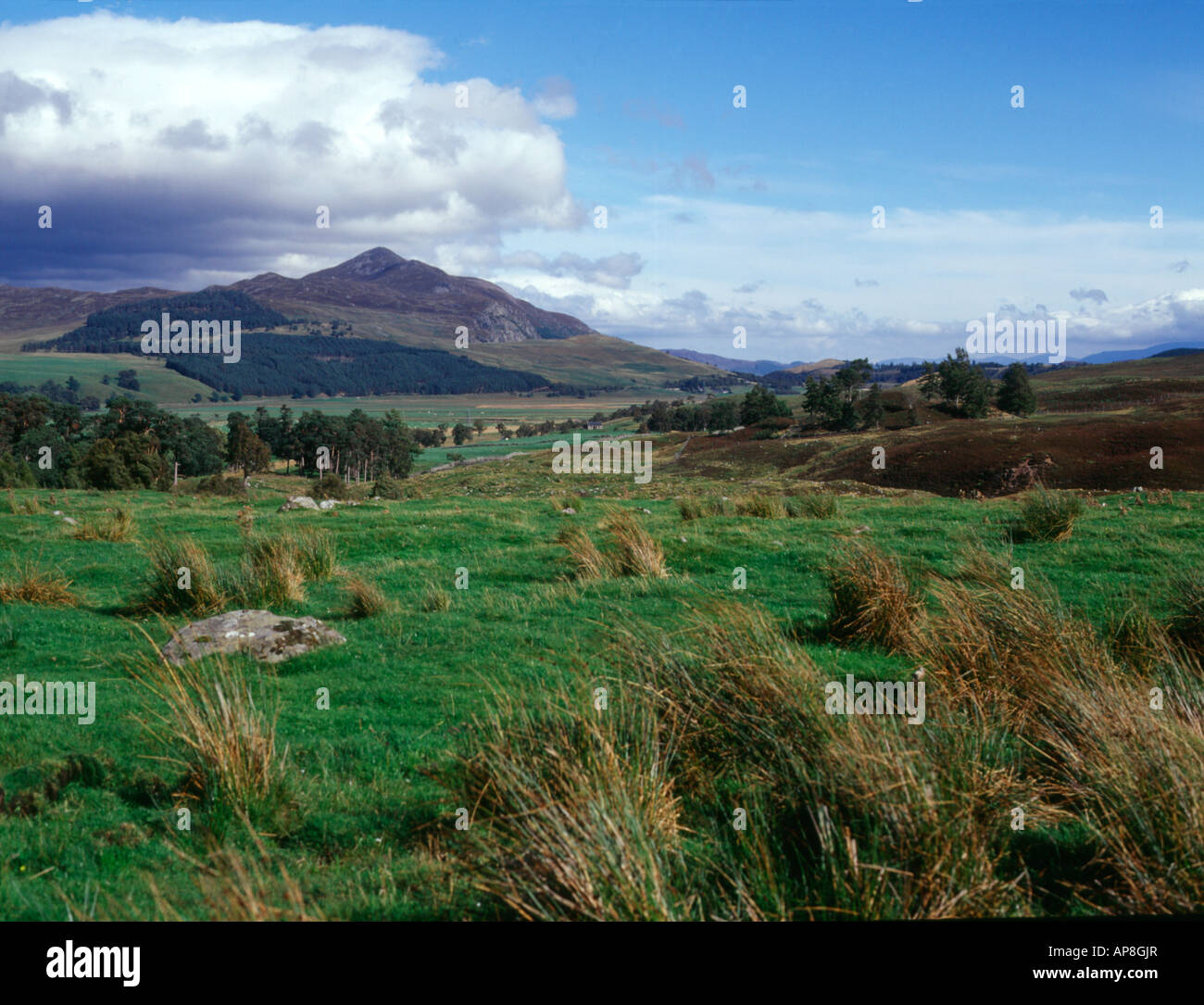 dh Monadhlaith mountains A CHAILLEACH INVERNESSSHIRE Wild Mountain glen wilderness scotland scottish landscape mountain beautiful Stock Photo