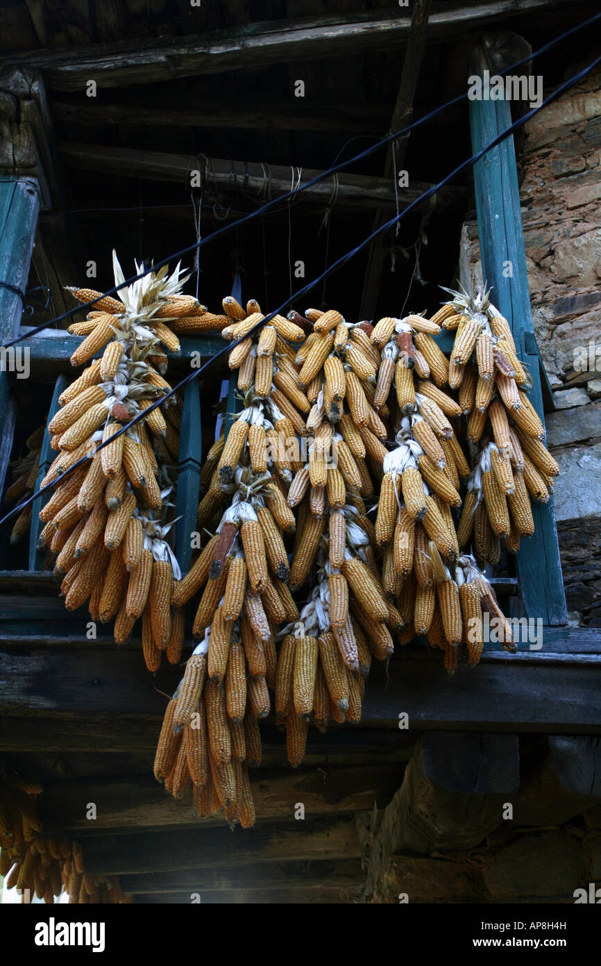 Maize hanging from the balcony of a house in O Courel, Lugo, Galicia, Spain Stock Photo