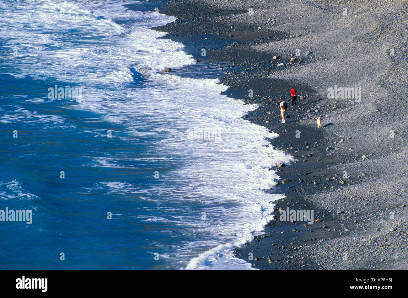 along the surf at Sand Dollar Beach Los Padres National