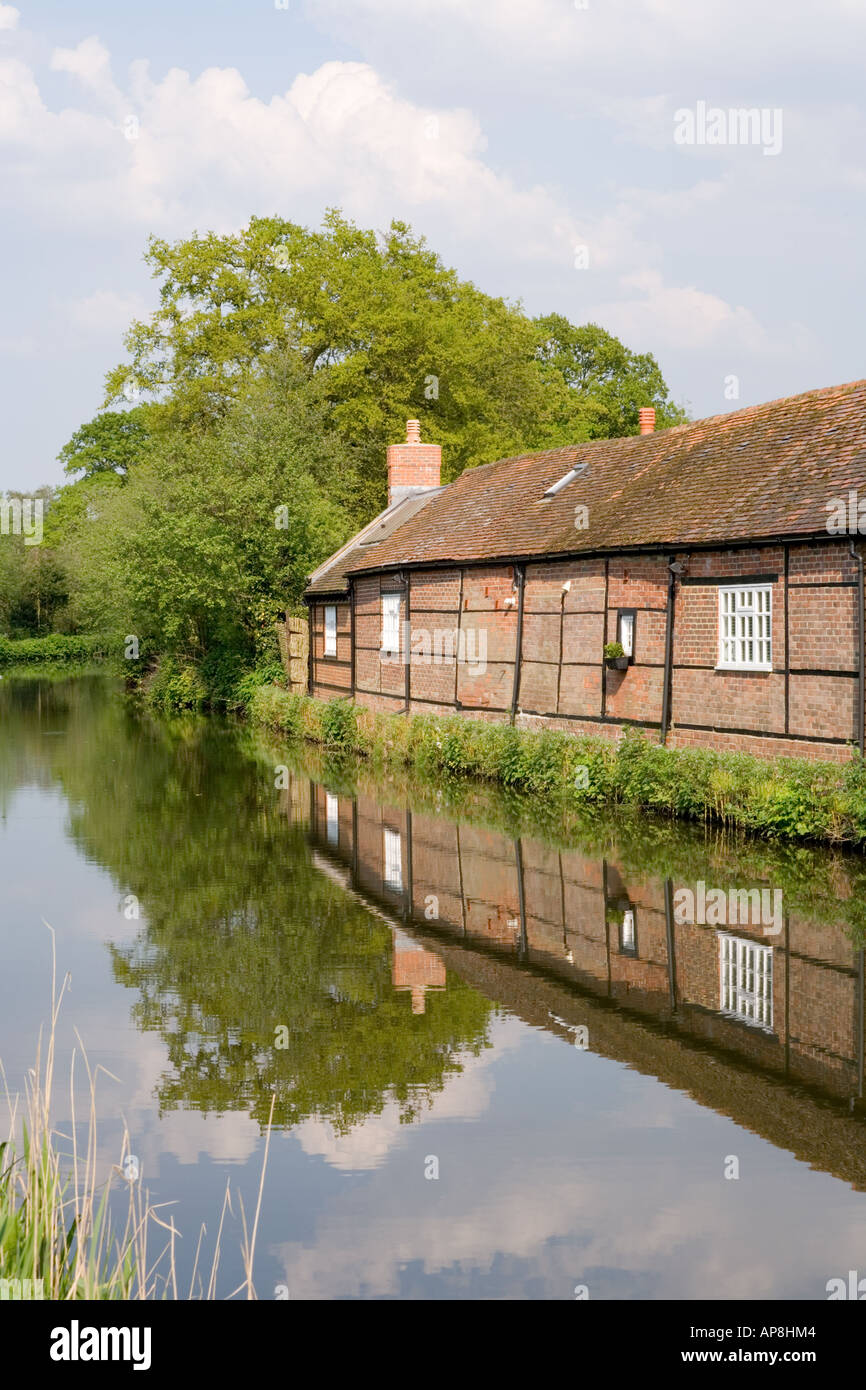 A peaceful evening beside the River Wey Navigation near Pyrford, Surrey