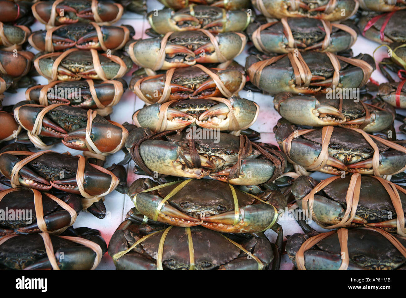 THA, Thailand, Bangkok, 20.02.2006 Live crabs at a fish market Stock