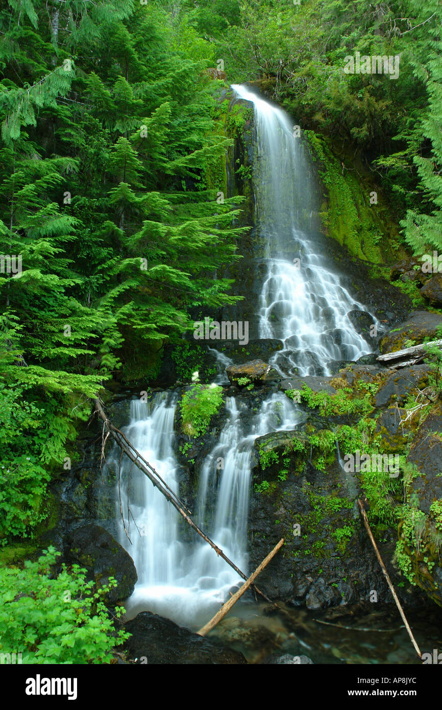 Waterfalls mt rainier vertical hi-res stock photography and images - Alamy