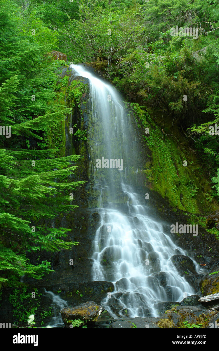 Waterfalls mt rainier vertical hi-res stock photography and images - Alamy
