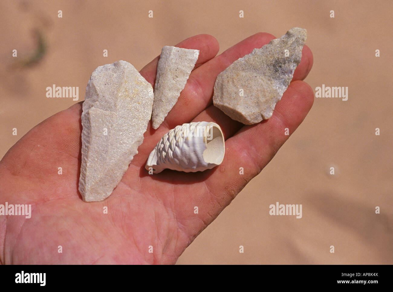 Prehistoric Aborigine arrowheads spear points and an ancient pipe found on a beach near Broome in Western Australia Stock Photo