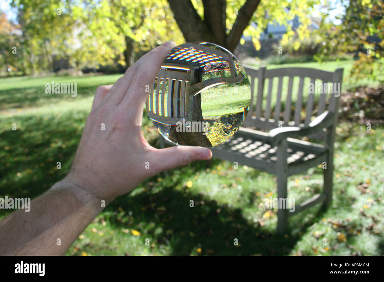 View through a convex lens. Stock Photo