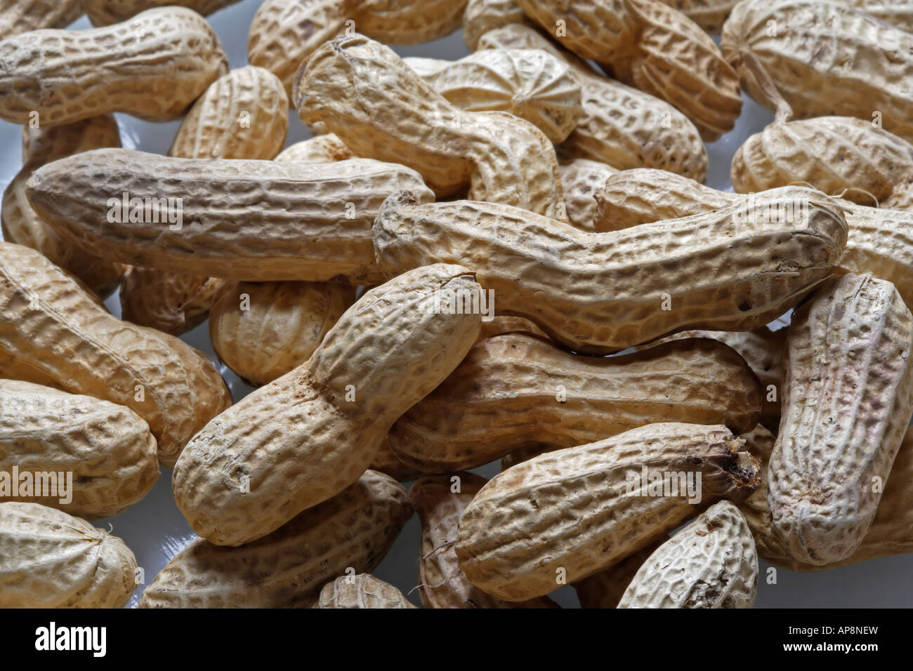 Peanuts in their shells Stock Photo Alamy