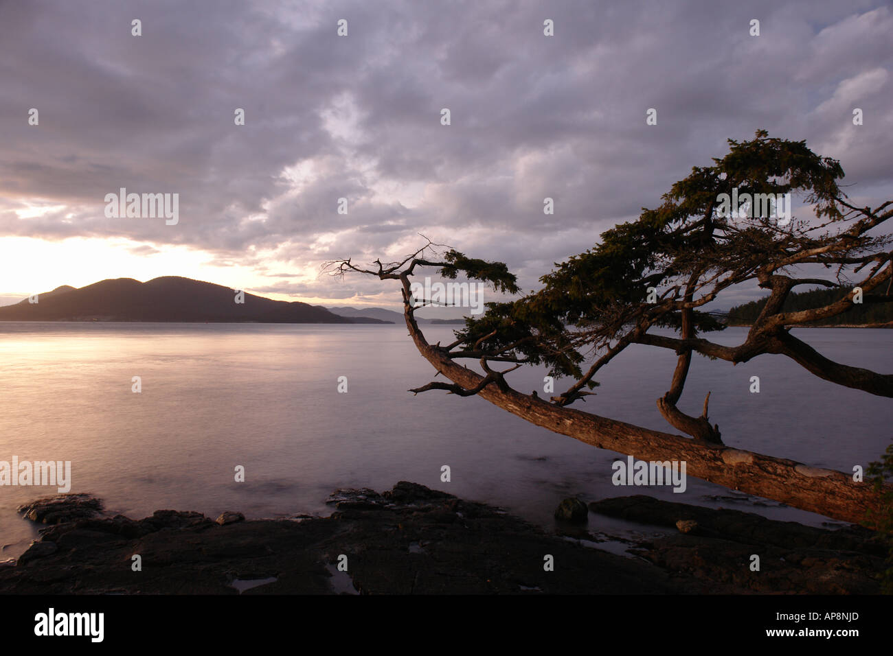 Anacortes city hi-res stock photography and images - Alamy