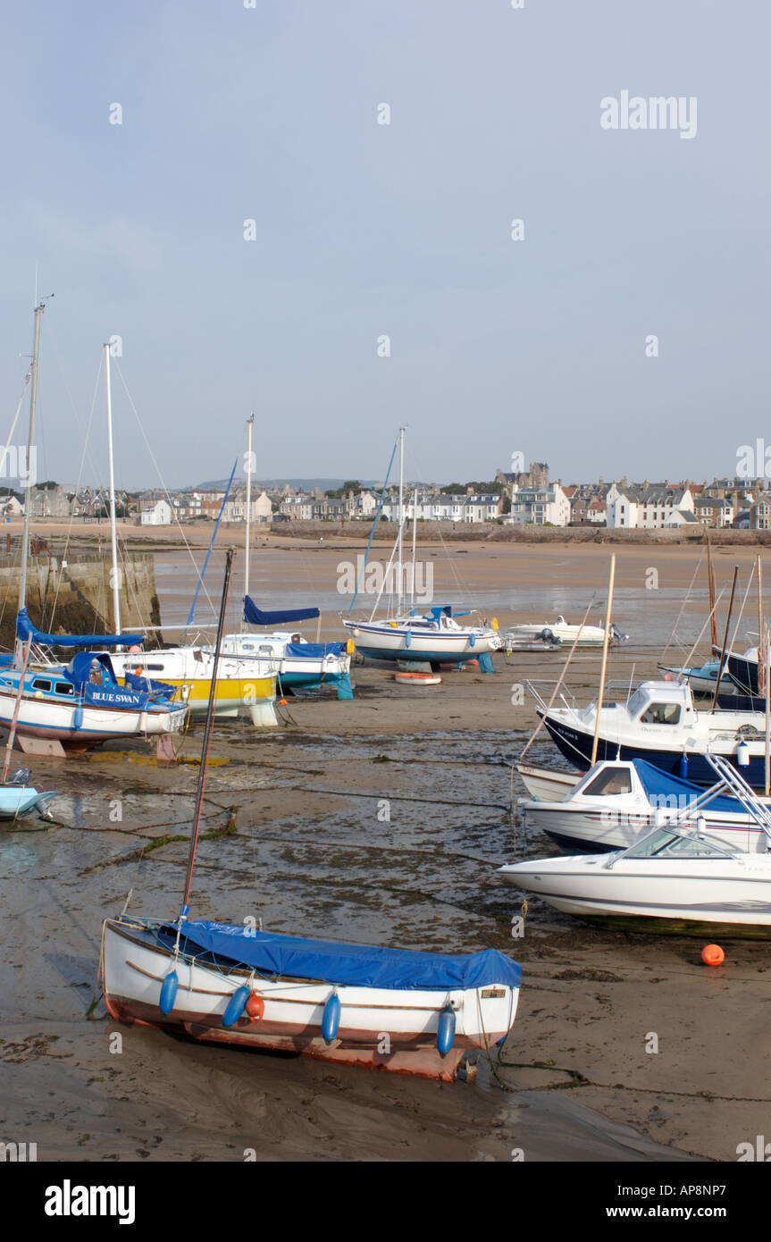 Pittenweem harbour area hires stock photography and images Alamy