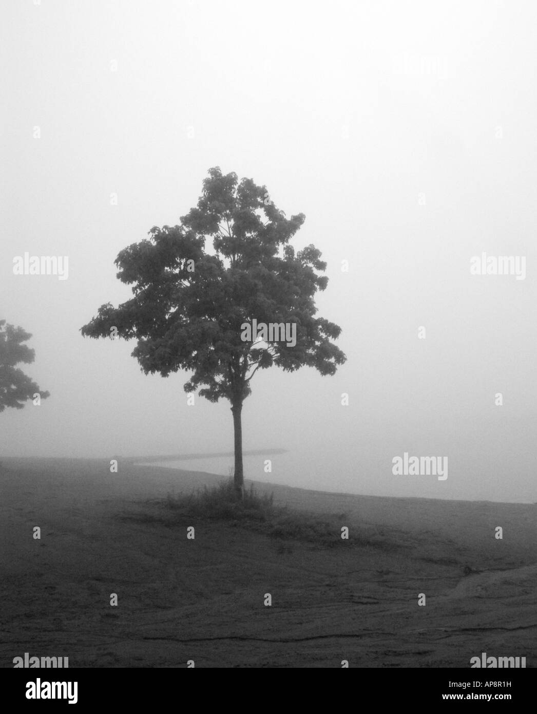 Morning urban view Black and White Stock Photos & Images - Alamy