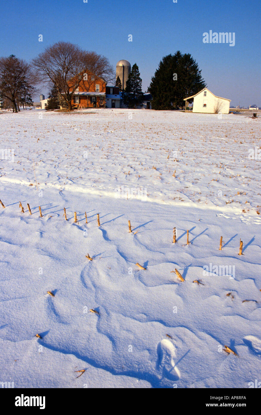 Christmas snow blanketing farm near Manheim Pennsylvania USA Stock Photo