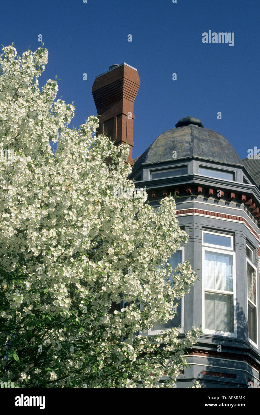 VICTORIAN HOMES IN CATHEDRAL HILL NEIGHBORHOOD IN ST. PAUL, MINNESOTA.  SPRING DAY Stock Photo - Alamy