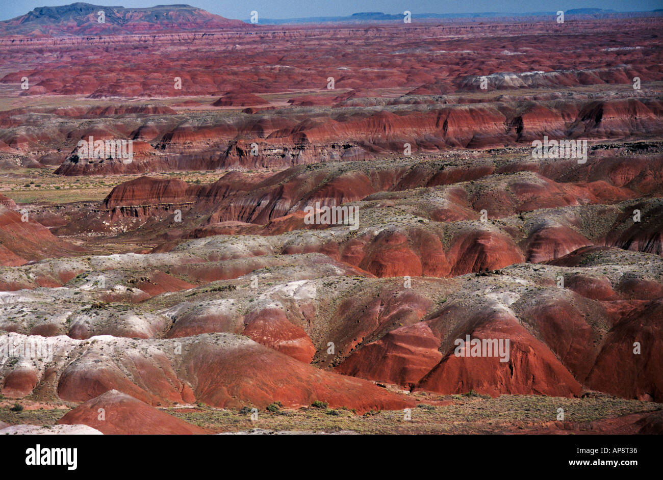Painted Desert Petrified Forest National Park Arizona USA Stock Photo 