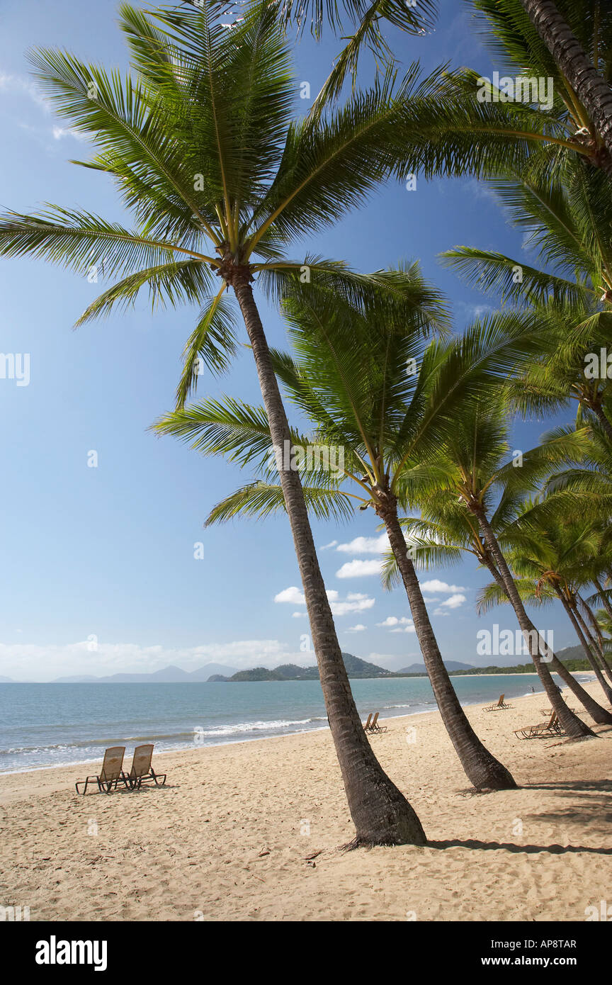 Palm Cove Cairns North Queensland Australia Stock Photo